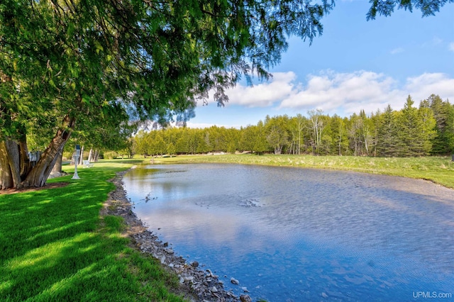 7975 00.25 Rd, Garden, MI 49835 - water view featuring a heavily wooded area