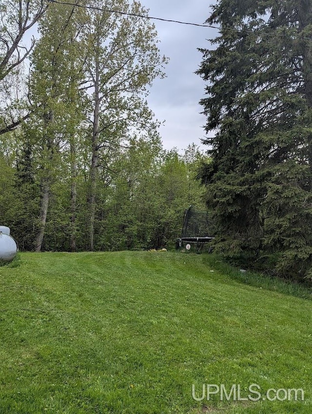 24662 Mud Creek Rd, Mass City, MI 49948 - view of grassy yard featuring a wooded view