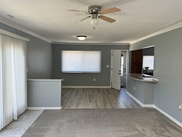 19299 Georgia St, Roseville, MI 48066 - unfurnished room featuring crown molding, a ceiling fan, a textured ceiling, baseboards, and carpet flooring