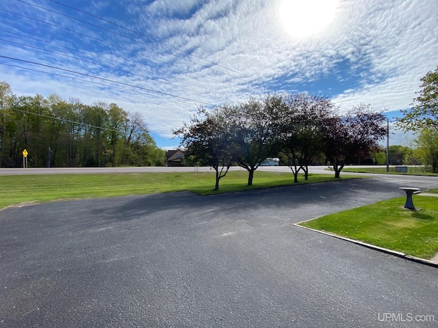 101-103 Juliet St, Marquette, MI 49855 - view of asphalt street