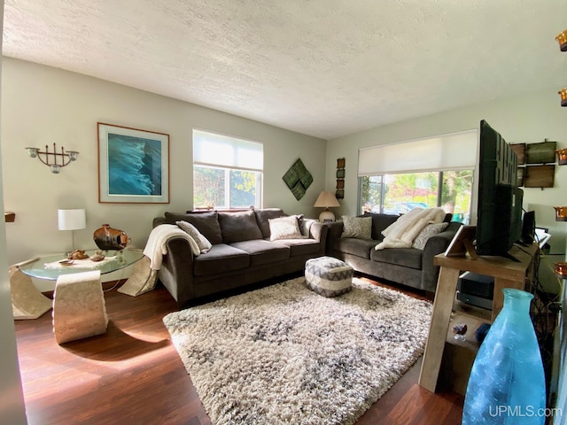 101-103 Juliet St, Marquette, MI 49855 - living room with a textured ceiling and dark wood-style flooring