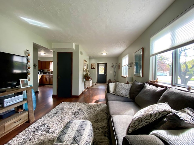 101-103 Juliet St, Marquette, MI 49855 - living area with a textured ceiling and dark wood-type flooring