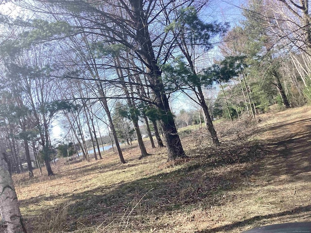 0 N 34th Ave, Mears, MI 49436