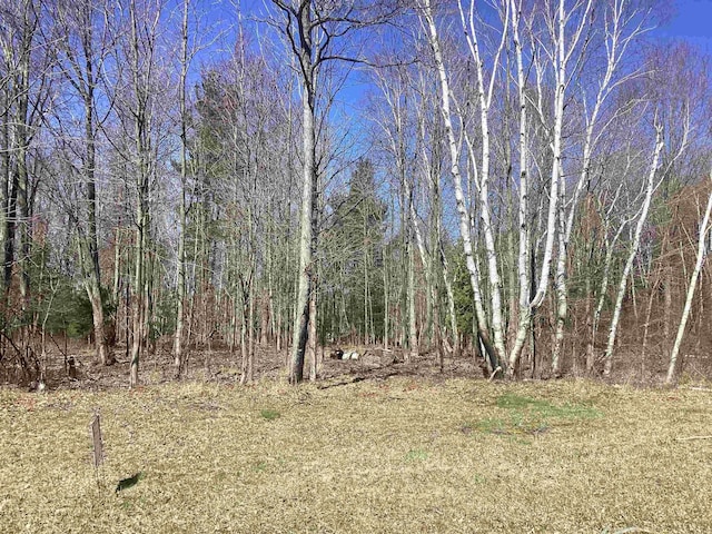 0 N 34th Ave, Mears, MI 49436