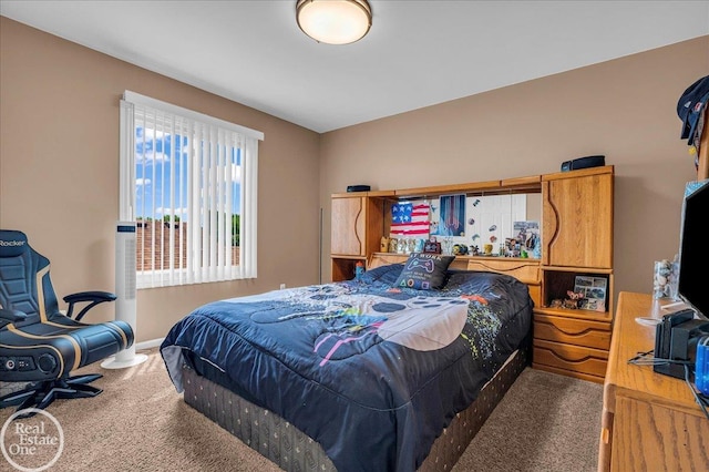 49204 Stratford Dr, Chesterfield Twp, MI 48047 - bedroom with carpet flooring and baseboards