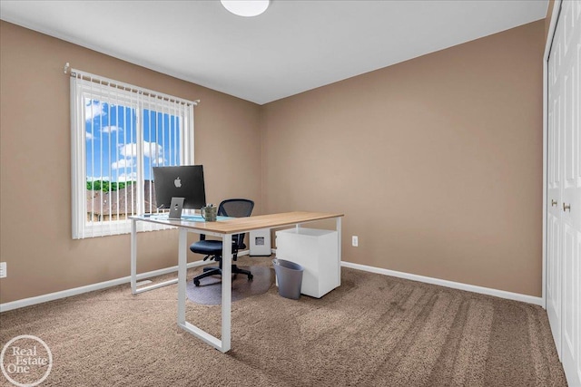 49204 Stratford Dr, Chesterfield Twp, MI 48047 - carpeted home office featuring baseboards