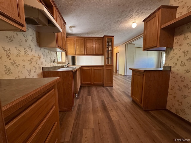 104 Pine St, Greenland, MI 49929 - kitchen with wallpapered walls, dark wood-style floors, brown cabinetry, a sink, and glass insert cabinets