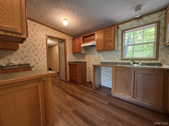 104 Pine St, Greenland, MI 49929 - kitchen with wallpapered walls, crown molding, a sink, dark wood-style flooring, and a textured ceiling