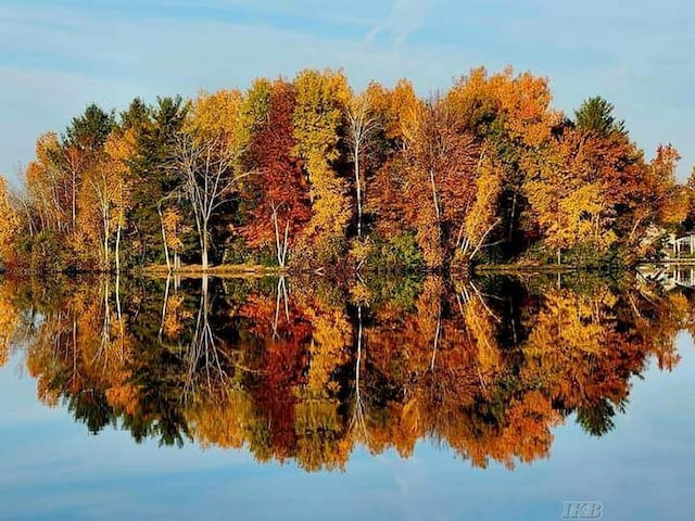 1750 Castleview Ct, Gladwin, MI 48624 - view of nature with a nearby body of water