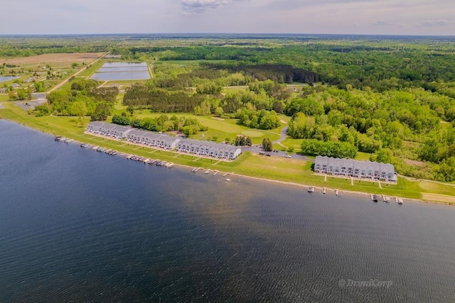 1750 Castleview Ct, Gladwin, MI 48624 - bird's eye view of a nearby body of water and a forest