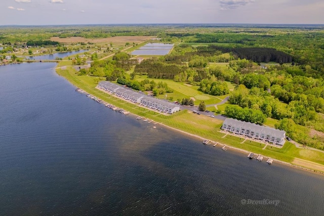 1750 Castleview Ct, Gladwin, MI 48624 - bird's eye view of a large body of water