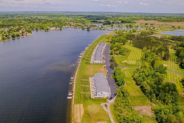 1750 Castleview Ct, Gladwin, MI 48624 - bird's eye view of a nearby body of water