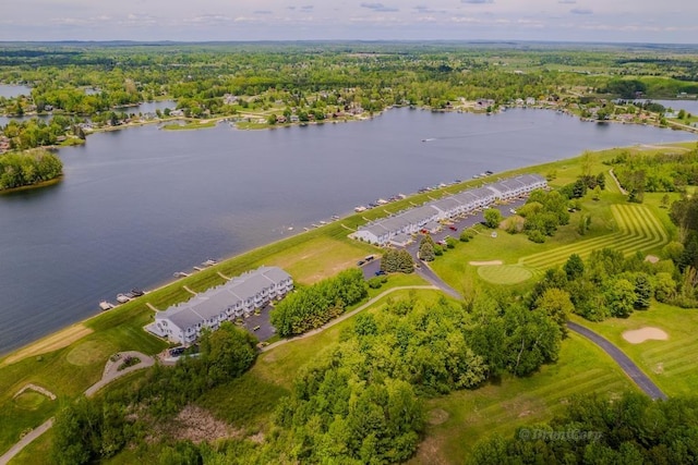 1750 Castleview Ct, Gladwin, MI 48624 - drone / aerial view of a nearby body of water