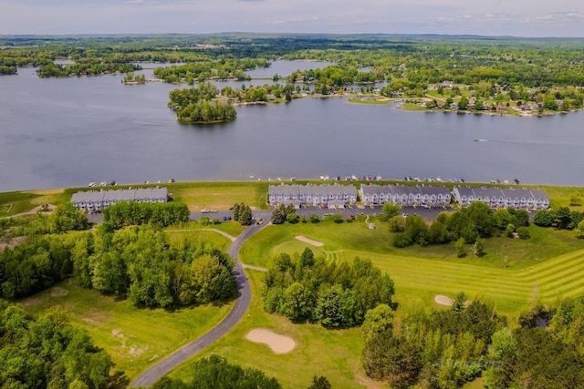 1750 Castleview Ct, Gladwin, MI 48624 - bird's eye view of a large body of water