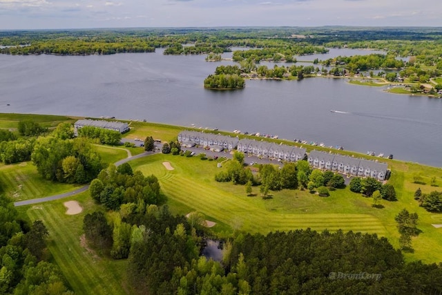 1750 Castleview Ct, Gladwin, MI 48624 - bird's eye view of a large body of water