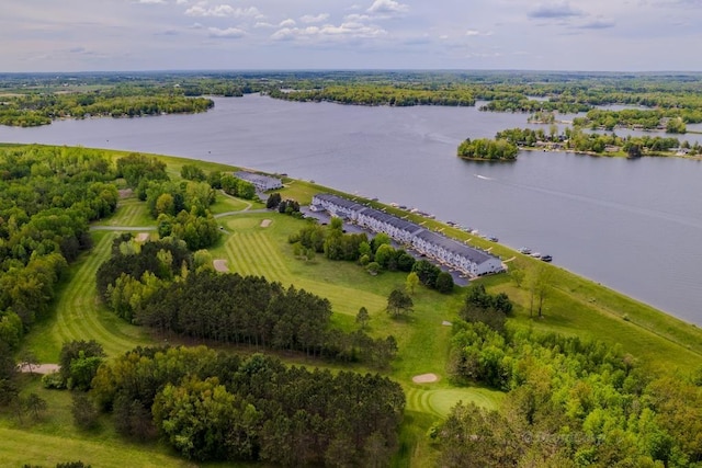 1750 Castleview Ct, Gladwin, MI 48624 - bird's eye view of a large body of water