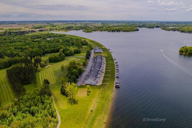 1750 Castleview Ct, Gladwin, MI 48624 - drone / aerial view of a large body of water