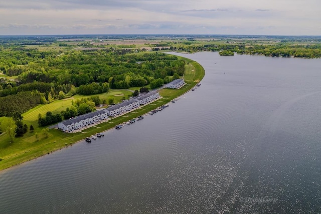 1750 Castleview Ct, Gladwin, MI 48624 - drone / aerial view of a large body of water