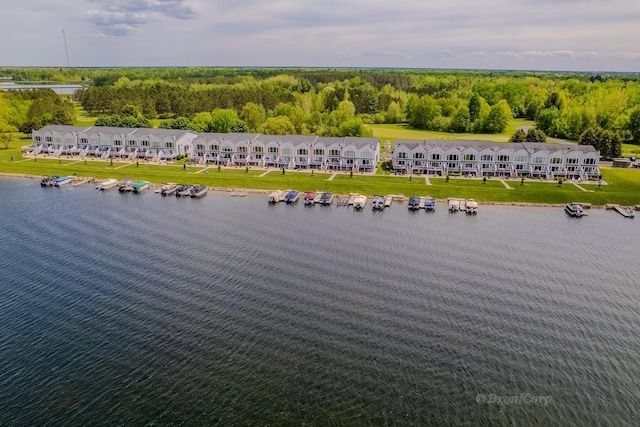 1750 Castleview Ct, Gladwin, MI 48624 - drone / aerial view of a large body of water and a forest