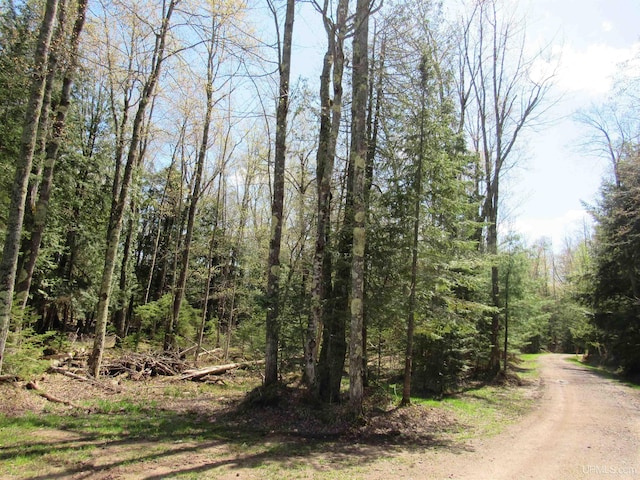 PARCEL10 Vicks Rd, Lanse, MI 49946