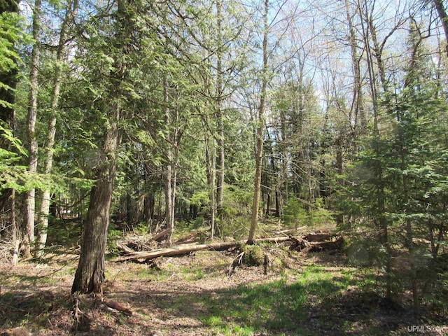 PARCEL10 Vicks Rd, Lanse, MI 49946