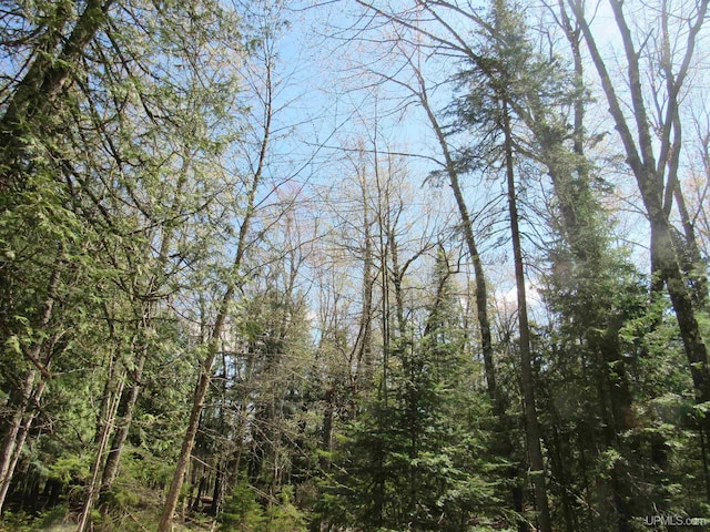 PARCEL10 Vicks Rd, Lanse, MI 49946