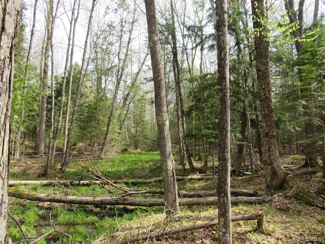 PARCEL10 Vicks Rd, Lanse, MI 49946