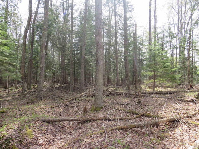 PARCEL10 Vicks Rd, Lanse, MI 49946