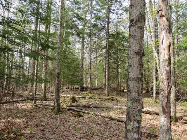 PARCEL10 Vicks Rd, Lanse, MI 49946