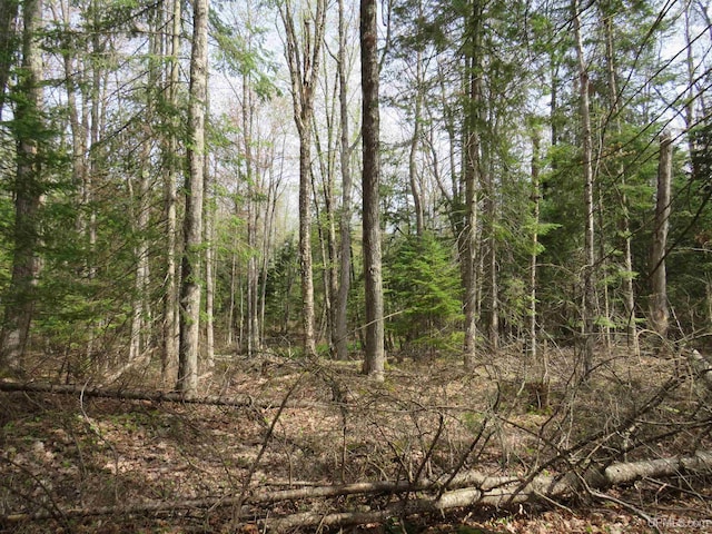 PARCEL10 Vicks Rd, Lanse, MI 49946