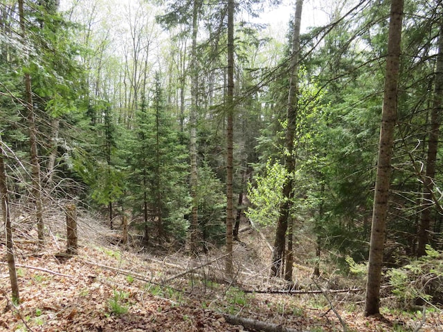 PARCEL10 Vicks Rd, Lanse, MI 49946