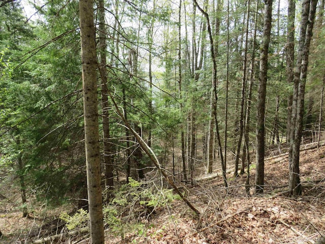PARCEL10 Vicks Rd, Lanse, MI 49946