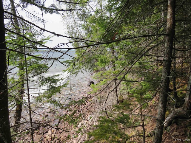 PARCEL10 Vicks Rd, Lanse, MI 49946