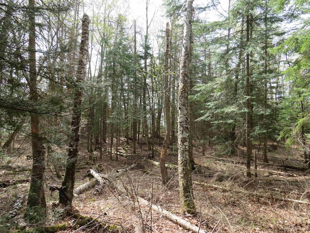 PARCEL10 Vicks Rd, Lanse, MI 49946
