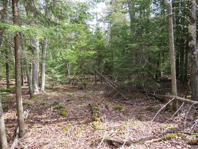 PARCEL10 Vicks Rd, Lanse, MI 49946