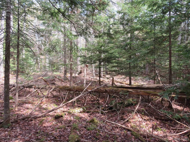 PARCEL10 Vicks Rd, Lanse, MI 49946