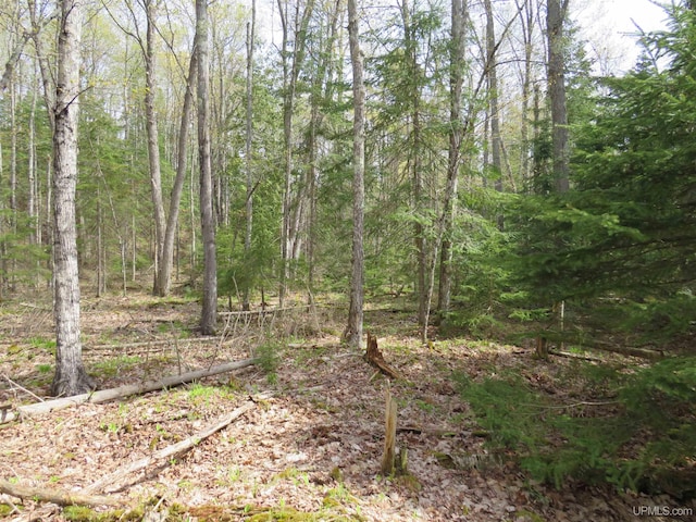 PARCEL10 Vicks Rd, Lanse, MI 49946