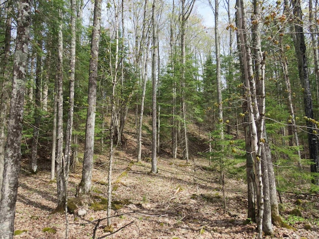 PARCEL10 Vicks Rd, Lanse, MI 49946