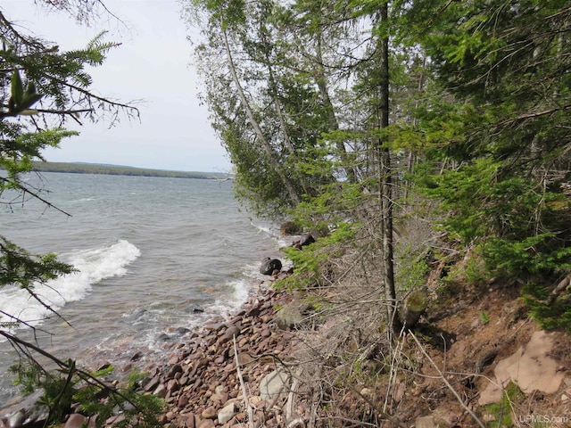 PARCEL10 Vicks Rd, Lanse, MI 49946