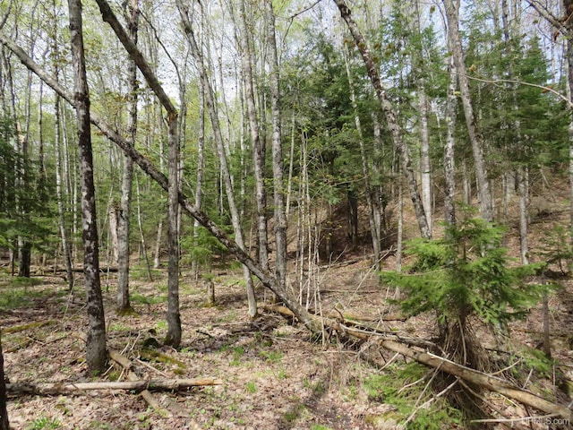 PARCEL10 Vicks Rd, Lanse, MI 49946