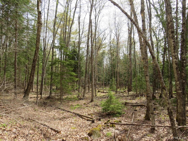 PARCEL10 Vicks Rd, Lanse, MI 49946