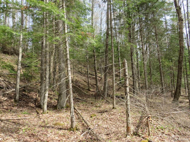 PARCEL10 Vicks Rd, Lanse, MI 49946