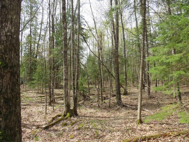 PARCEL10 Vicks Rd, Lanse, MI 49946