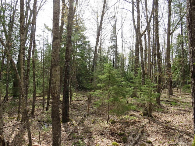 PARCEL10 Vicks Rd, Lanse, MI 49946