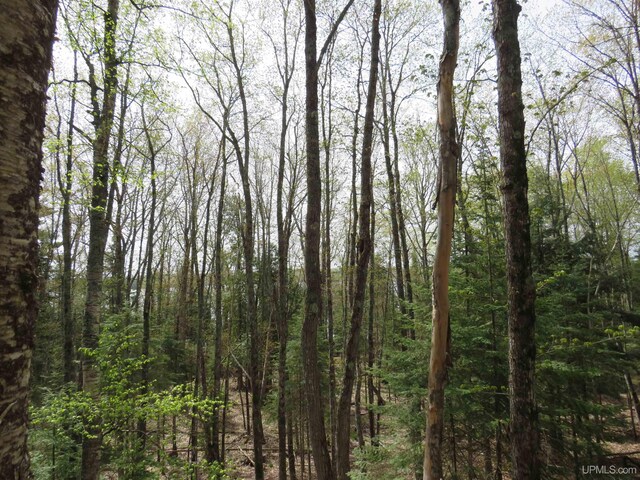 PARCEL10 Vicks Rd, Lanse, MI 49946