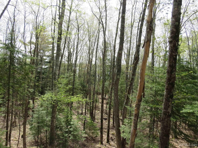 PARCEL10 Vicks Rd, Lanse, MI 49946