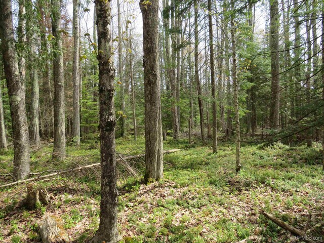 PARCEL10 Vicks Rd, Lanse, MI 49946