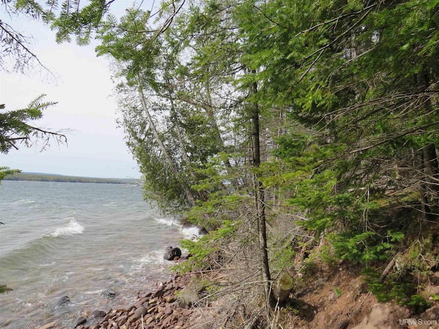 PARCEL10 Vicks Rd, Lanse, MI 49946