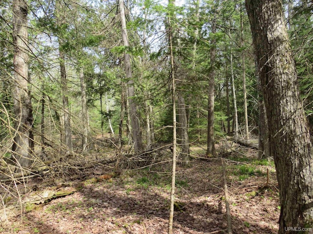 PARCEL10 Vicks Rd, Lanse, MI 49946