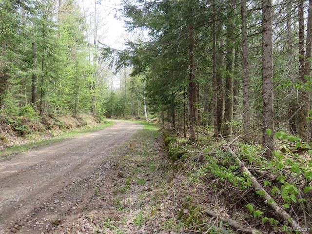 PARCEL10 Vicks Rd, Lanse, MI 49946